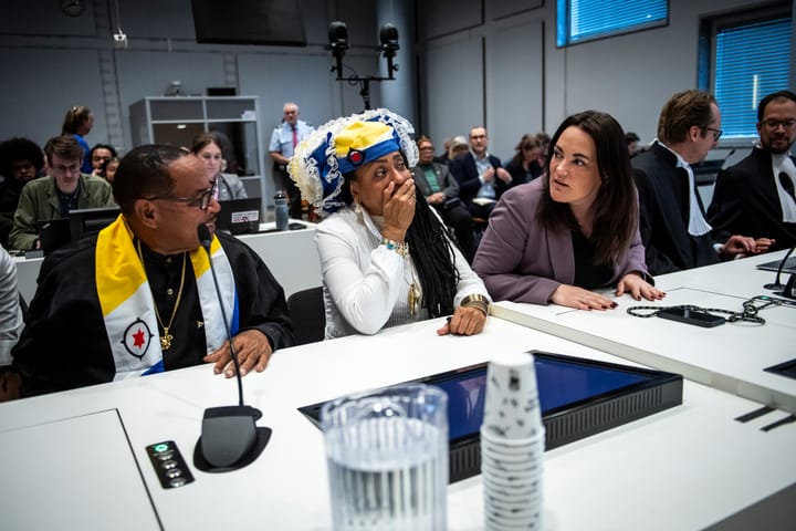 Court Rules That Dutch Climate Policy Is Insufficient, Violates Human Rights Law