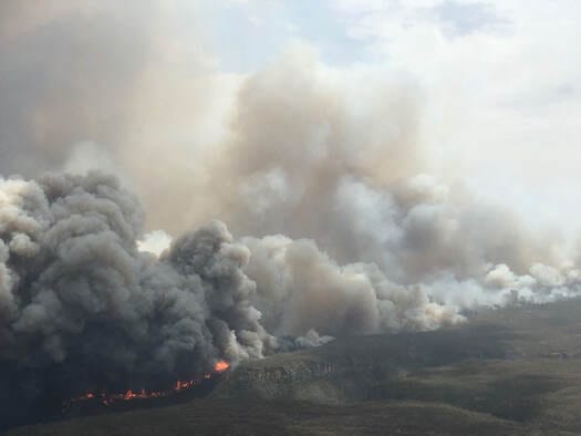 Court Allows Aussie Bushfire Survivors To Present Expert Evidence From Climate Scientist In Climate Case Against New South Wales' Environment Agency